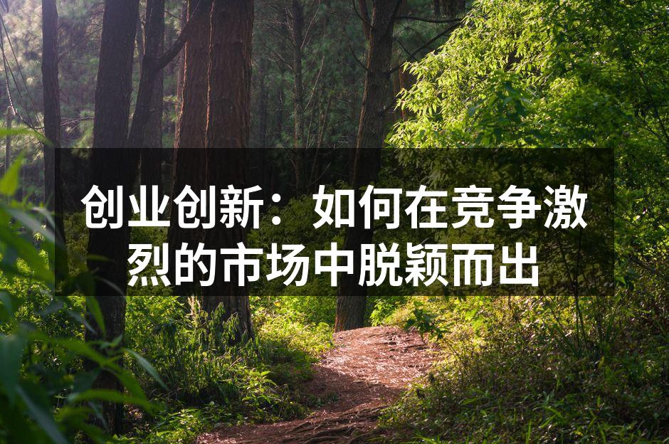 创业创新：如何在竞争激烈的市场中脱颖而出